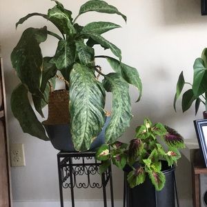 Meet your Posher, Katelyn